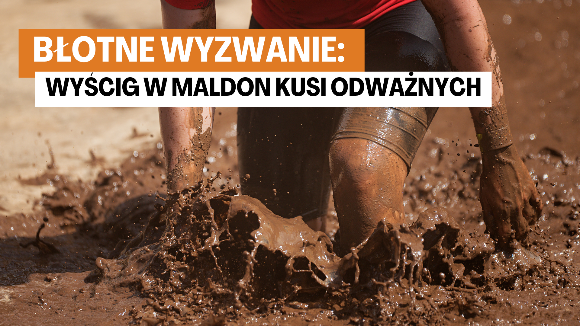 błotny wycig w Maldon