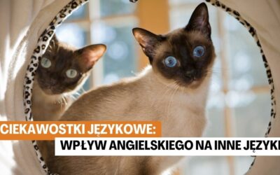 Ciekawostki Językowe: Wpływ Angielskiego na Inne Języki